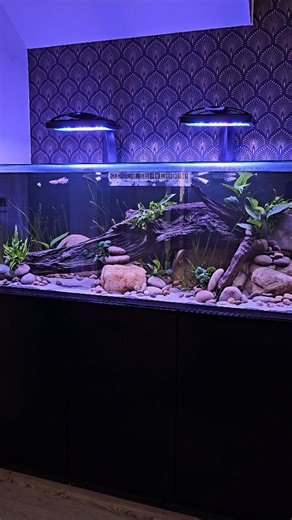 1.6K views · 306 reactions | One of out latest client installations...