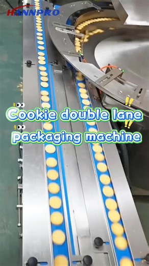 Dual-Channel Biscuit Packaging Machine Supplier