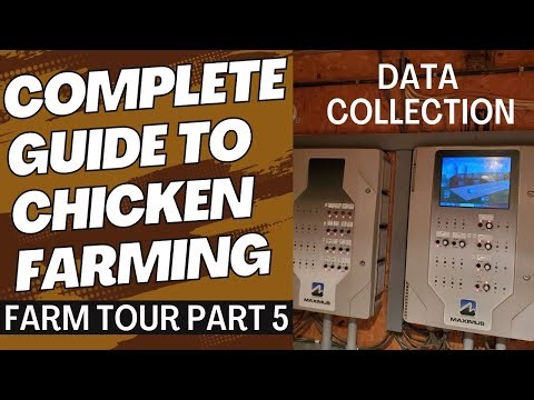 Flock monitoring system on poultry farms