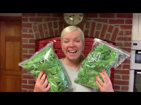 How we preserve spinach by freezing - fresh from the garden