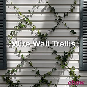 Have a wall or fence that's begging for a bit of character or charm? Adding a wall trellis can create a gorgeous focal point in your yard, patio, or front entrance. DIY: https://bit.ly/46dSubH | ehow