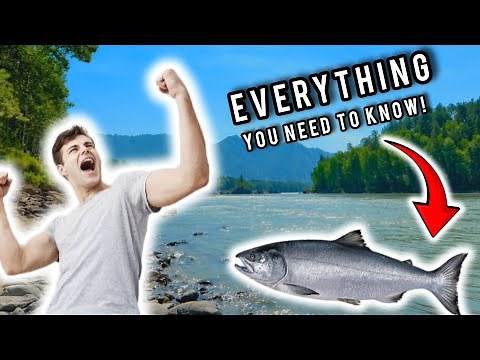 Start Catching Salmon In The River EASY! - ANYONE CAN DO IT!