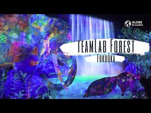 Step Inside teamLab Forest 🇯🇵 | Immersive Digital Art Experience in Fukuoka