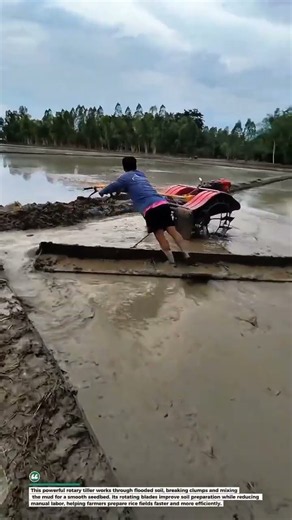 Power Tiller Levels a Rice Field in Seconds! 🌾 #FarmTools #RiceFarming #Agriculture