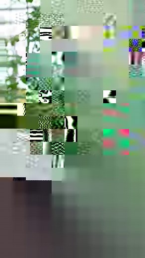 Protégez vos tomates du mildiou 🌡️🍅 Découvrez comment un tunnel peut sauver vos plantes de l'humidité et des maladies! Astuce essentielle pour tous les jardiniers 🚀🎋 #Jardinage #Tomates #Mildiou #AstuceJardin #Serre #CulturesousAbris #Jardinier #BioGardening #ProtectionPlantes #ConseilsJardinage | Rustica