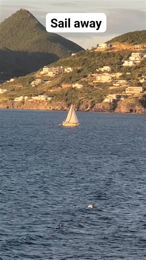 ⚓️ Sometimes, it’s your turn to sail away solo, just you and the open sea. This ship with its sails catching the wind feels like the perfect symbol of freedom. Cruising alone, embracing the solitude and the endless horizon. ⛵️ #SailAway #SoloJourney #OceanEscape #FreedomOnTheWater #CelebrityAscent | Victor Manuel Pantoja Jr. | Facebook