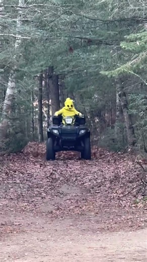 Do you like me banana suit I’m peely ￼￼