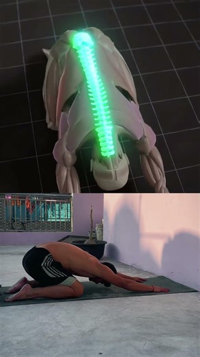 Child's pose stretches the lats and spine, relieves lower back #lowerbackpain #spine #mobility