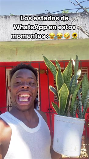 Yellow Flowers | Meaning, Symbolism, and More