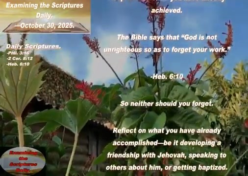 1.2K views · 114 reactions | Philippians 3:16 reminds me that Jehovah...