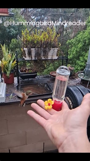 Peggy can take a moment and #relax