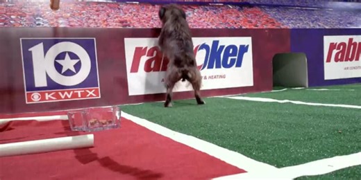 Gabriel decides between China Spring and University in Week 3 Puppy Picks