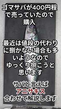 お店で捌いてくれない！を解決します。これを見れば3枚おろしは簡単です。サバ特有のアニサキス対策も解説しています。＃アニサキス＃3枚おろし＃サバ＃簡単