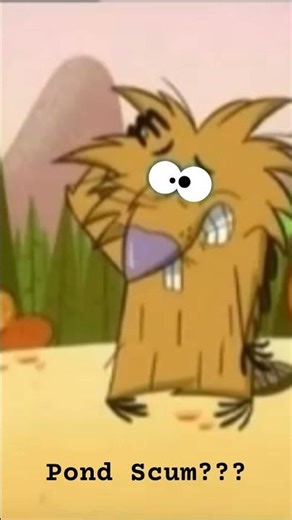 Lol #angrybeavers #norbert