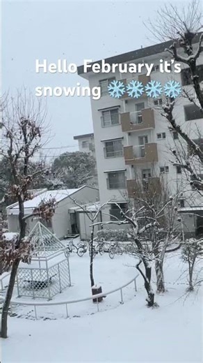 First time snow falling in this year ❄️❄️#snow #snow fall#japan#winter
