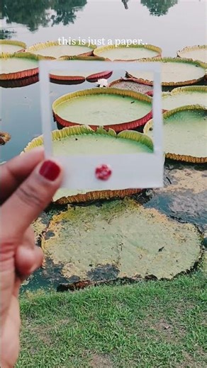 Diy polaroid paper frame❤