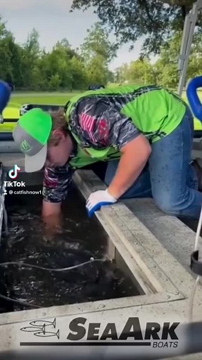 2K views · 18 reactions | “This 100 gallon Livewell in the SeaArk Dynasty boat kept these fish very lively last night in the M&J Catfish War Tournament.” - Marty D Highnote Visit www.seaarkboats.com to see why SeaArk Boats have been #1 in catfishing for over 10 years!#SeaArkBoats #Fishing #CatfishFishing #SeaArkLifeBestLife #BoatsBuiltForALifetime #TeamSeaArk #YourStoryYourBoat #1InCatfish #SeaArkCatch #CatfishCatch | Catfish NOW | Facebook