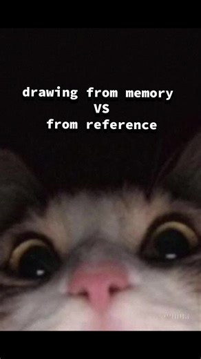 Drawing from Memory vs. Reference: Exploring Artistic Truths