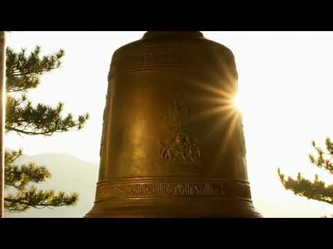 “The Lotus Ritual Ancient Asian Women Used for Beautiful Skin” 