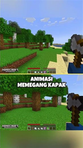 Action & Stuff Bedrock VS Java