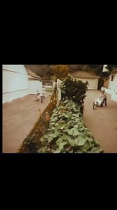 1975 | Historical Pictures