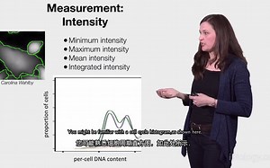 生物图像分析5：测量和表型分类