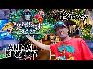 BEST PLACE TO BRING THE KIDS FOR DINNER | RAINFOREST CAFE - DISNEY WORLD ANIMAL KINGDOM 2024