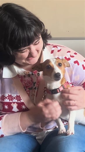 89K views · 848 reactions | Santa Paws is set to pay a special visit...