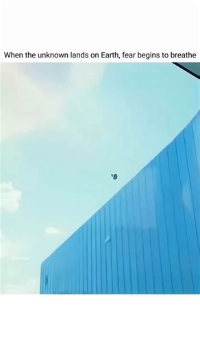 MovieVault on Instagram: "FilmFiesta 🎬 Movie - Alienoid (2022) Watch on - ✨ Telegram Link in Bio 🎥 Action/Sci-fi ‧ 2h 22m 🎞️ Gurus in the late Goryeo dynasty try to obtain a fabled, holy sword, and humans in 2022 hunt down an alien prisoner that is locked in a human's body. The two parties cross paths when a time-traveling portal opens up. 📈 Ratings IMDB - 6.3/10 Rotten Tomatoes - 87% Letterboxd - 3.5/5 🤠 Director - Dong-hoon Choi 📝 Writers - Dong-hoon Choi ⭐ Stars - Ryu Jun-yeol, Kim Woo-