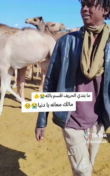 ما بتدي الحريف اقسم بالله####@تنزيل بت جنيد ✌💙 @الشاعره دودي بت الضعين @أّبًنِ أّلَعٌقُيِّدٍ/أّبًوٌه🦅 @ابراهيم احمد ريمة @ابراهيم تربو 🐪🌺💐🌹 ########