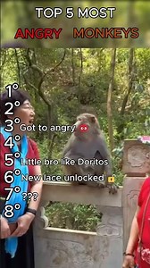 🐵 TOP 8 MOST ANGRY MONKEYS CAUGHT ON CAMERA! 😳🔥