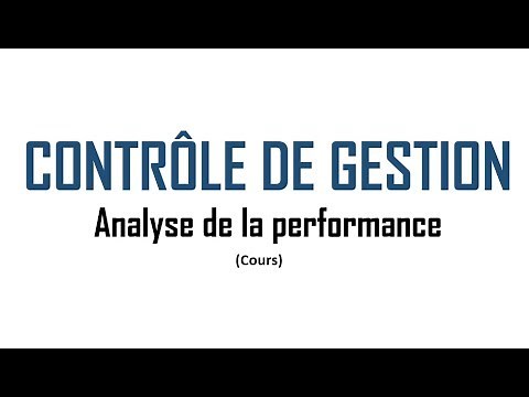 Contrôle de gestion et analyse de la performance