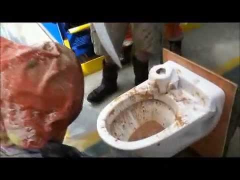 Pollywog To Shellback, WCP