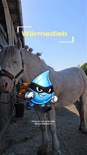 Der Wärmedied. #horse #tinker #equestrian #equestrianjourney #pferde #pony