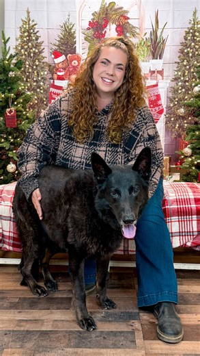 1K views · 426 reactions | Holiday Pet Pictures are happening NOW at Mary S Roberts Pet Adoption Center! These are so fun & the perfect keepsake of you, your family and your pet. Just visit their website to book your session online! Limited spots available, so hurry! • • • #holidays #holidaypetphotos #riverside #riversideca #dogs #thingstodo #inlandempire #happyholidays #marysroberts #holidayphotos | Ashleigh Dunn | Facebook