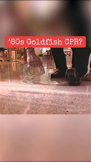 Can a Hoover handheld vacuum save a goldfish’s life? David Horowitz puts the company’s ad to the test on Fight Back! in the ’80s. #80s #1980s #nostalgia #retro #fish | Watch Fight Back
