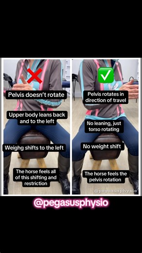 ✔️ Pelvis should rotate in the direction of travel A subtle pelvic rotation allows the hips to internally/externally rotate as needed for turning. This rotation: • does not shift weight • allows equal seat bone loading • matches the horse’s movement pattern through the ribcage ✔️ Shoulders should not rotate ahead of the pelvis Rotating only the upper body creates a dissociation (shoulders one way, hips another), which: • often forces a compensatory lean or ribcage collapse • stops the pelvis fro