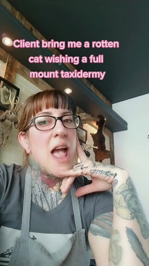 Pet Preservation with Taxidermy Expert in Los Angeles