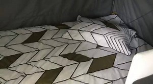 1.8K views · 29 reactions | The Paramount Caravans Duet is the great...