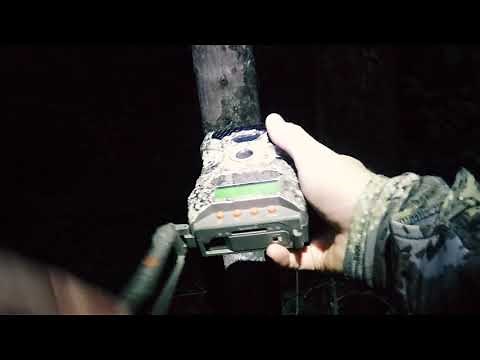 Wildgame Innovations Rival 20 Lights out trail cam review | Worst trail camera ?