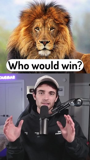 Can Humans Beat These Animals in a Fight?