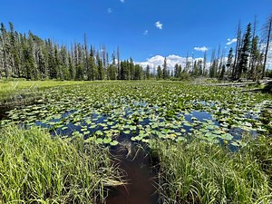 Hike to Lily Pad Lake in Silverthorne, Colorado