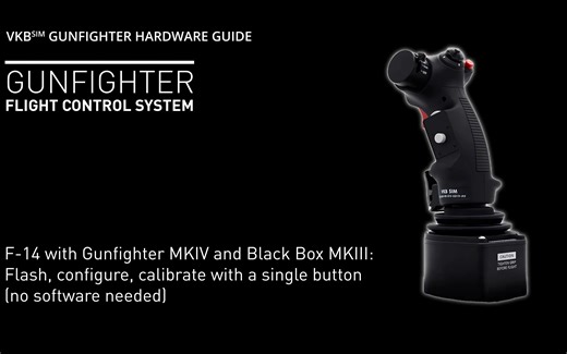 Gunfighter MK4 F-14 Blackbox MK3 - 初始化和校准