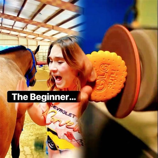 Beginner Vs Experienced Horse Owners! 🐴 #shorts #animals