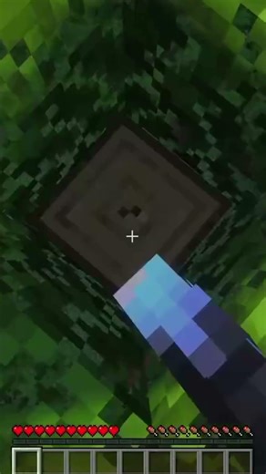 Elle était juste derrière moi… 😰 #minecraft