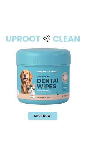 197K views · 4.6K reactions | Your pet’s smile deserves just as much...