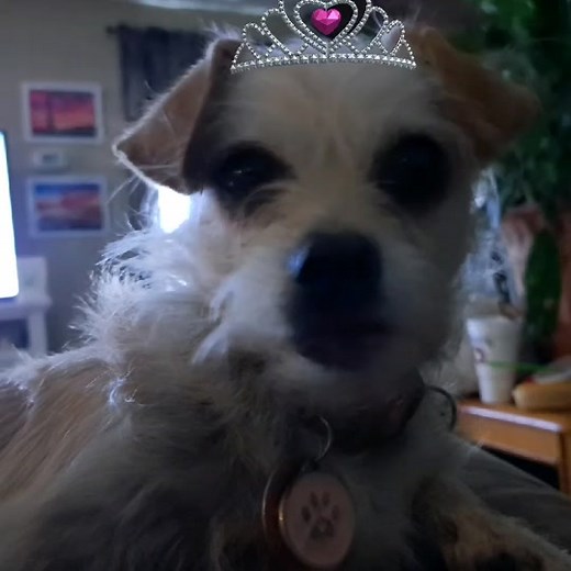 Angie Miller (@angelamiller2546)’s videos with original sound - Angie Miller