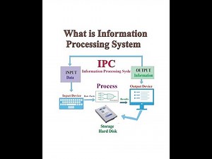 IPC ( Information processing cycle )