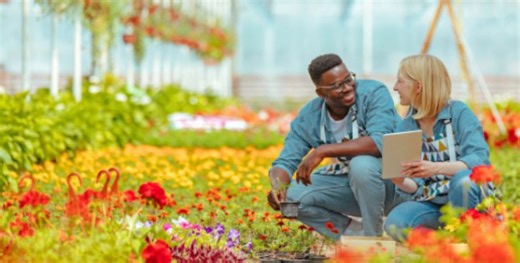 Green Career Week connects students with sustainable jobs