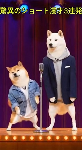 大晦日笑い納めショート漫才by Tik Dog #芸人 #お笑い #犬